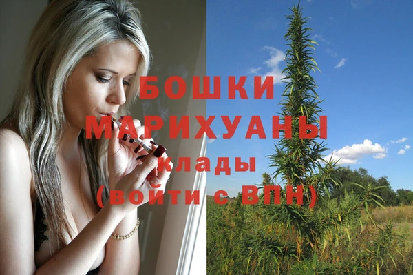 индика Горняк