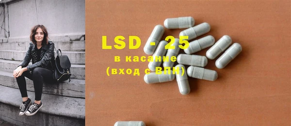 индика Горняк