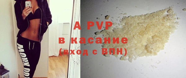 индика Горняк