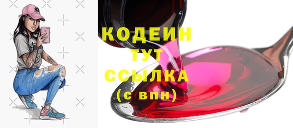 индика Горняк