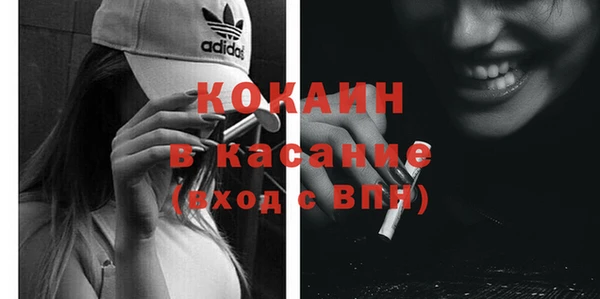 индика Горняк