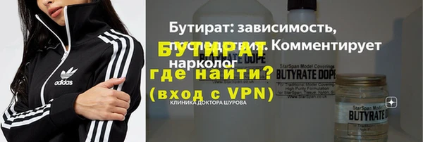 индика Горняк