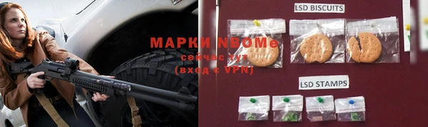индика Горняк