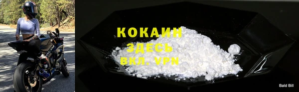 индика Горняк