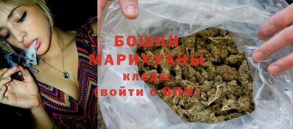 индика Горняк
