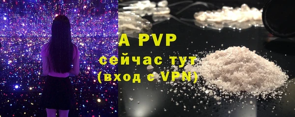 индика Горняк