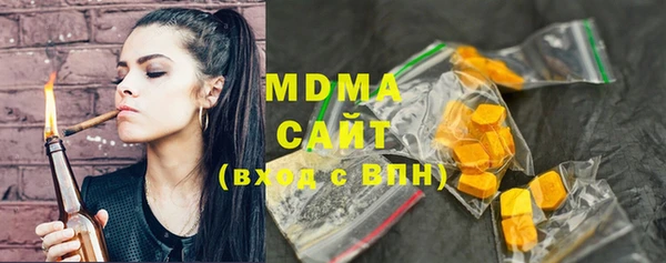 индика Горняк