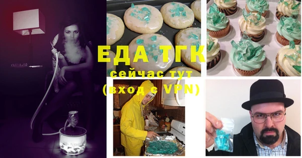 индика Горняк