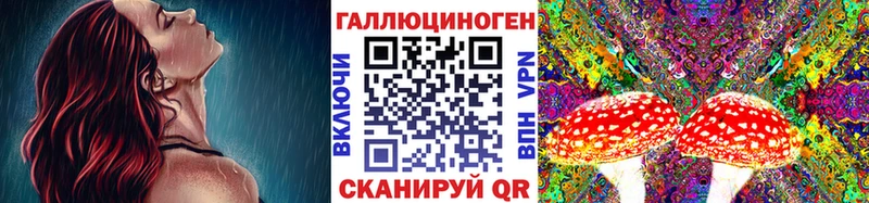 Галлюциногенные грибы Psilocybine cubensis  Дно 